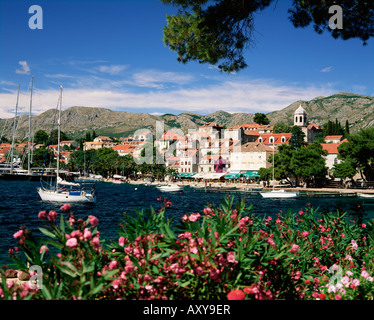 Die Altstadt, Cavtat, Dubrovnik Riviera, Dalmatien, dalmatinische Küste, Kroatien, Europa Stockfoto