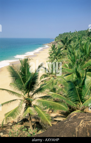 Kokos-Palmen und Strand, Kovalam, Kerala Zustand, Indien, Asien Stockfoto