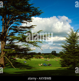 UK Cheshire Cholmondeley Castle Cricket Ground Stockfoto