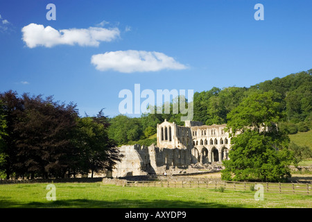 Ruinen von Rievaulx Abtei North Yorkshire Stockfoto