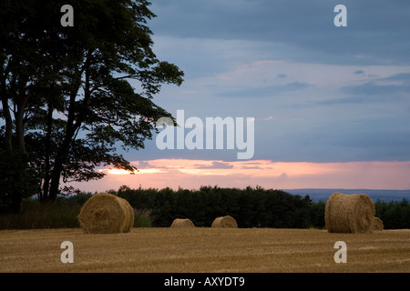 Sonnenuntergang vom Garrowby Hill in Yorkshire Stockfoto