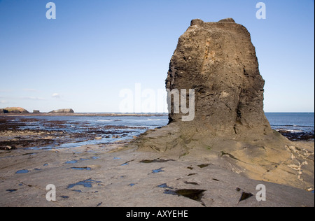 Schwarz nab in gegen-Bucht in der Nähe von Whitby North Yorkshire England Stockfoto