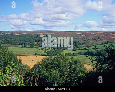 GILLAMORE NORTH YORKSHIRE UK September blickte der Fluss Dove-Tal aus diesem malerischen Dorf in Yorkshire Stockfoto
