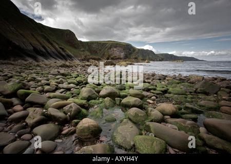 Felsiger Strand am Fuße der Klippen von St. Abbs Head, Berwickshire, Schottland Stockfoto