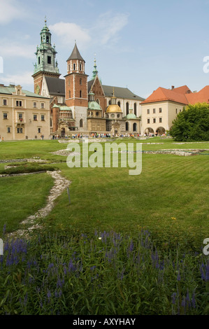 Wawel Catherdral, Königsschloss Bereich, Europa, Polen, Krakow (Krakau), UNESCO-Weltkulturerbe Stockfoto