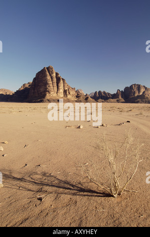 Wüste, Wadi Rum, Jordanien, Naher Osten Stockfoto