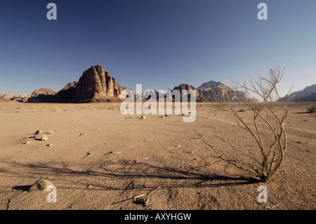 Wüste, Wadi Rum, Jordanien, Naher Osten Stockfoto