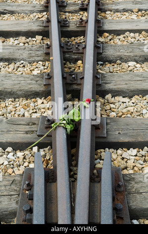 Ehrungen, die Links zu den Toten im zweiten KZ Auschwitz Birkenau, in der Nähe von Krakow (Krakau), Polen Stockfoto