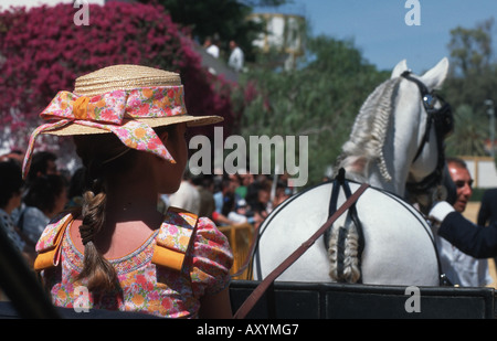 Andalusische Pferd (Equus Przewalskii F. Caballus), Feria del Caballo Stockfoto