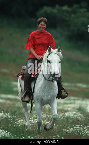 Connemara Pony (Equus Przewalskii F. Caballus) mit Reiterin Stockfoto