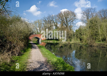 Grand Union Canal und gewölbte Brücke, in der Nähe von Berkhamsted, Hertfordshire, England Stockfoto