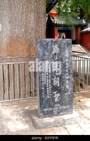 Gravierte Stele bei Songyang Akademie von Wahlum Kung Fu Tour USA Dengfeng Henan Provinz China Asien Songyang Akademie Stockfoto