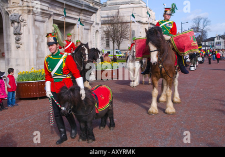 Walisische Pferd eine historische Festzug Kavallerie Truppe vor dem Rathaus für jährliche St Davids Day March in Cardiff South Wales UK EU Stockfoto