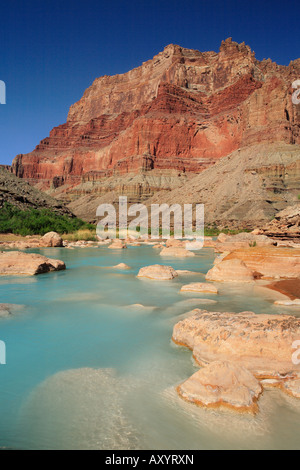 Little Colorado River unterhalb des Zusammenflusses mit dem Colorado River im Grand CanyonNationalpark Stockfoto