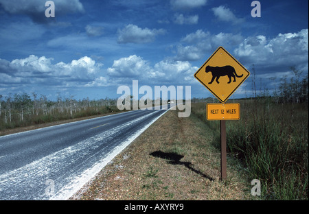 Straße in Everglades NP, USA, Florida, Everglades Np Stockfoto