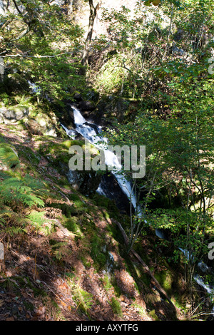 Wasserfall, Cadair Idris, Snowdonia, Wales, UK Stockfoto