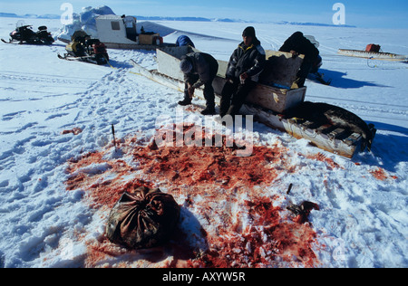 Inuit-Jäger mit Dichtungen, Lancaster Sound, Arktis, Kanada Stockfoto