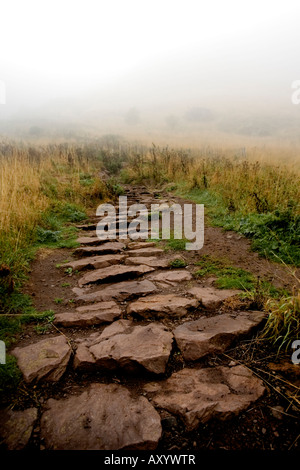 Herbst Nebel am Arthir s Sitz in Edinburgh Stockfoto