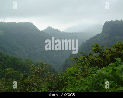 Neblig, grünen Tal mit bewachsenen Hänge und kleine Wasserfälle in der Regenzeit (Monsun), Indien, Maharashtra Stockfoto
