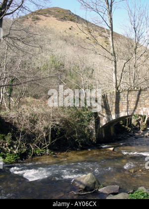 UK COUNTRY TRAIL und Stein Brücke über den RIVER IN HEDDON MOOR, DEVON Foto © Julio Etchart Stockfoto