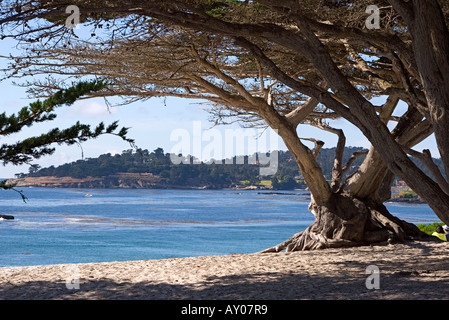 Carmel Bay und die berühmten Pebble Beach Golf Course Sicht von Carmel Beach Stockfoto