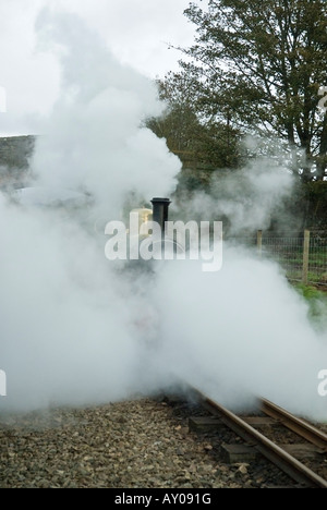 Eingehüllt in eine Wolke aus Dampf Schmalspur-Dampflokomotive Stockfoto