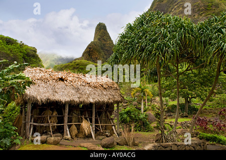 Maui-Iao-Staatspark Stroh Haus Turm Hawaii Stockfoto