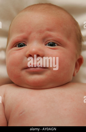 7 Wochen altes baby Stockfoto