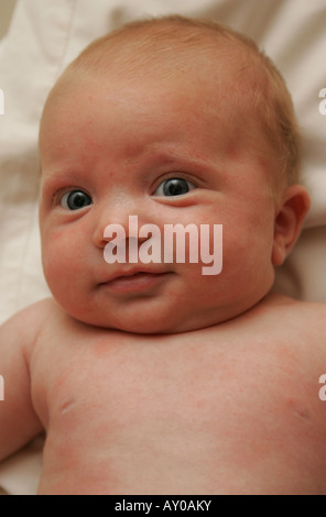 7 Wochen altes baby Stockfoto