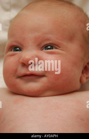 7 Wochen altes baby Stockfoto