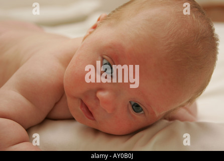 7 Wochen altes baby Stockfoto