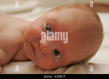 7 Wochen altes baby Stockfoto