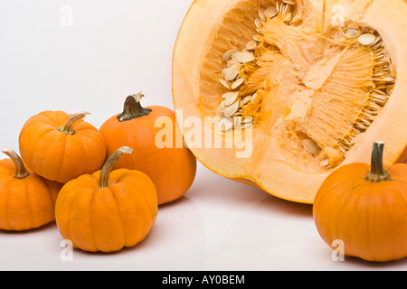 Frisches orangenes Kürbisgemüse, aufgeschnitten mit Samen Nahaufnahme von oben oben, niemand horizontal in den USA Hi-res Stockfoto