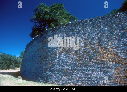 Anlage, die Außenwand von Great Zimbabwe Ruinen von 900.000 Blöcken gebaut Stockfoto