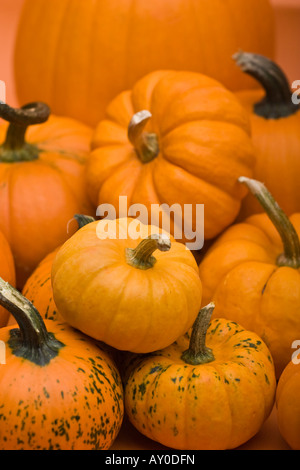 Fröhliches Halloween mit orangefarbenen Kürbissen und Kürbis von oben oben verschwommenem Hintergrund Niemand vertikal in den USA stellt ein Stockfoto