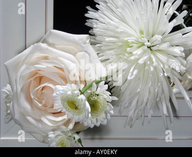 Blumenstrauß aus weißen, schönen Blumen mit einer einzelnen Rose auf schwarzem Hintergrund Nahaufnahme aus der Frontansicht horizontal in USA Hi-res Stockfoto