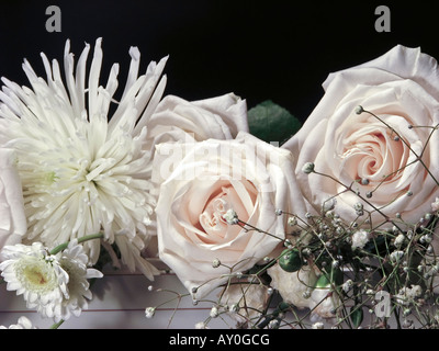 Blumenstrauß aus weißen Rosen mit schönen Blumen auf schwarzem Hintergrund Nahaufnahme oben von oben horizontal in USA Hi-res Stockfoto
