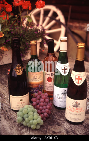 Anzeige der Weine im Weinberg in Waldron East Sussex auf Holztisch im Innenhof mit Trauben-Shrewn rund um Stockfoto