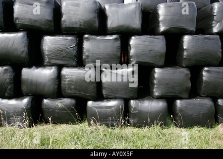 Ballen schrumpfen verpackt in schwarzem Polyethylen Stockfoto