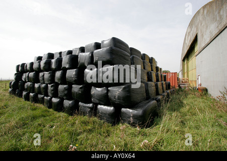 Ballen schrumpfen verpackt in schwarzem Polyethylen Stockfoto