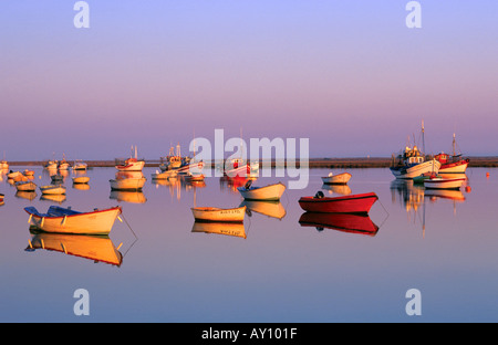 Boote auf Ria Formosa Santa Luzia Tavira Algarve Portugal Stockfoto