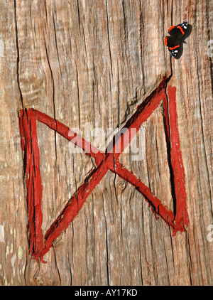 Red Admiral Schmetterling in der Sonne aalen, mit dem Schmetterling-ähnliche Runen Symbol DAEG an Herst Henge Surrey Stockfoto