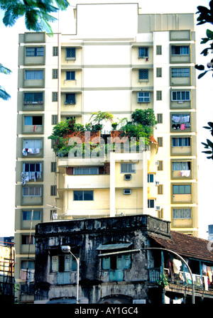 Dachgarten, Prabha Devi, Mumbai Stockfoto