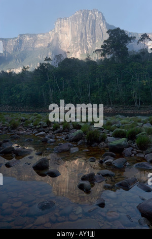 Einzigartige reflektierte Sicht der höchste Wasserfall der Welt - Angel Falls in den tropischen Regenwald von Venezuela Stockfoto