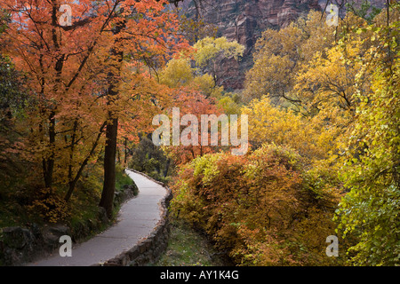 Sanftes Licht auf den Teppich Virée rot- und Gelbtöne der Zion Nationalpark, Utah, USA Stockfoto