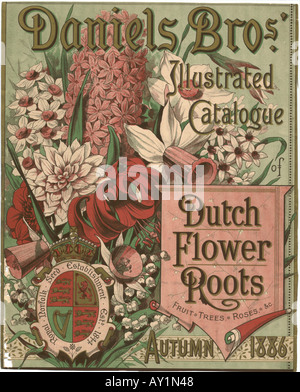 Daniels Bros. Katalog der holländischen Blumenwurzeln um 1895 Stockfoto