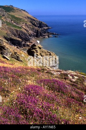 Felsige Küste westlich von Soar Mill Cove, South Devon Eastsoutheast suchen Stockfoto