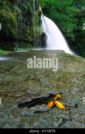 Herbst Eichenblatt auf der Kante des Sgwd Uchaf Clun Gwyn Wasserfall in Brecon Beacons Wales Großbritannien Stockfoto