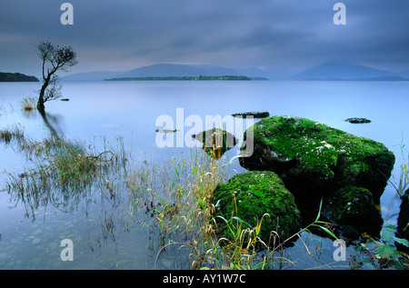 Blick über Loch Lomond aus Ost-Schottland-Großbritannien Stockfoto