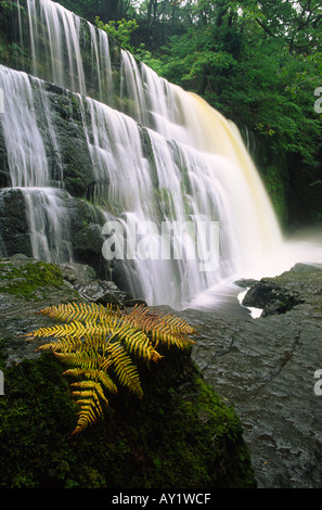 Sgwd Clun Gwyn Wasserfall auch bekannt als The Upper Fall in Brecon Beacons Wales Großbritannien Stockfoto